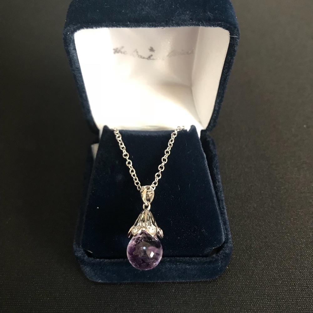 Danbury Mint Floating Treasure (February) Necklace